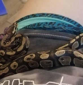 Meet your Posher, Kyra jean